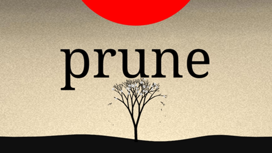 《Prune》獨立研發　畫面充滿藝術格調