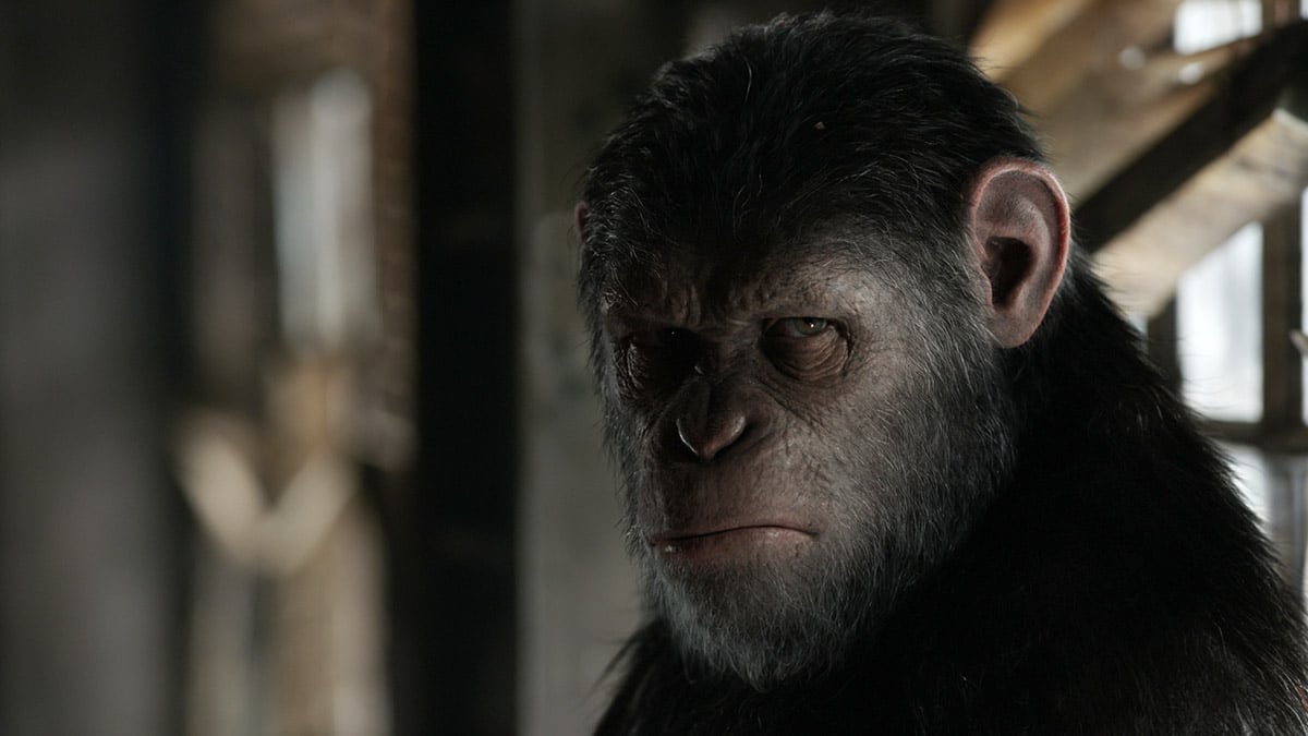 重溫一下歷史：《猿人襲地球》（Planet of the Apes）原本有 5 集，是 1968 至 1973 年的出品，最大的影響可能是那個時裝品牌。添布頓於 2001 年以他獨特的美學風格翻拍，一集完，口碑好壞參半。過了 10 年，即 2011 年，系列重啟（Reboot），和添布頓那部一樣名為《猿人爭霸戰》，已上映了兩集，副題分別為「猩凶革命」和「猩凶崛起」。以 3 年一部的進度，數數手指，今年第 3 集又蓄勢待發，名為「猩凶巨戰」（War for the Planet of the Apes），電影安排在 7 月 13 日上映，這個時候不如先看看花絮。
