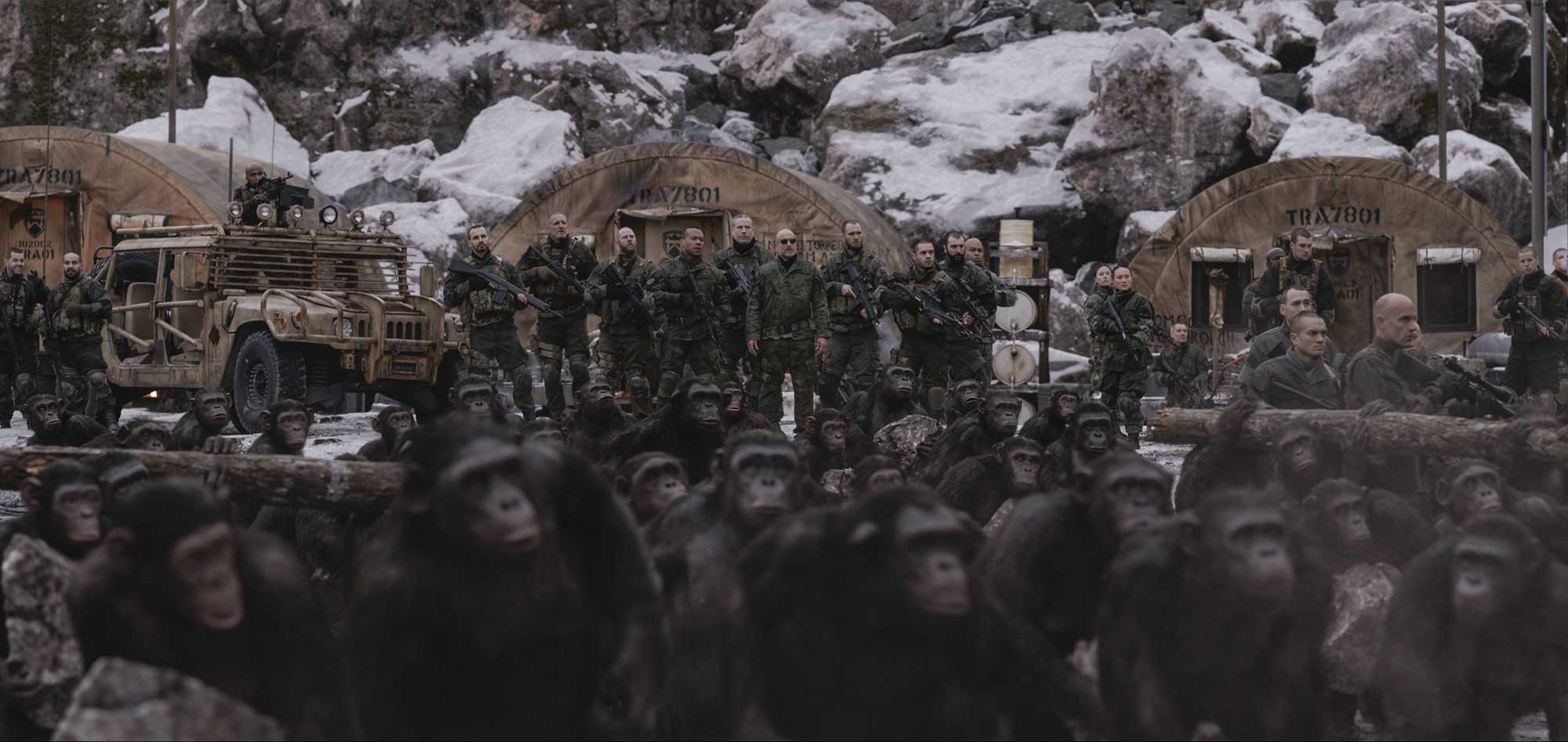 這是《猿人襲地球》（Planet of the Apes）電影系列的第二度重啟，許多觀眾都已經「理所當然」地無視 2001 年，Tim Burton 重啟的《猿人爭霸戰》（英文片名沒改），二度重啟版本以猿人的領袖凱撒故事作主軸，《猿人爭霸戰：猩凶巨戰》（War for the Planet of the Apes，以下簡稱《War》）可以視作「凱撒三部曲的最終章」，觀乎《War》的結尾，如果要銜接回 70 年代的 5 部《猿人襲地球》電影版（Planet of the Apes）的時空，中間應該可以再拍數集，因為《War》已經出現了 Nova 和 Cornelius 兩個在舊版有的重要角色。