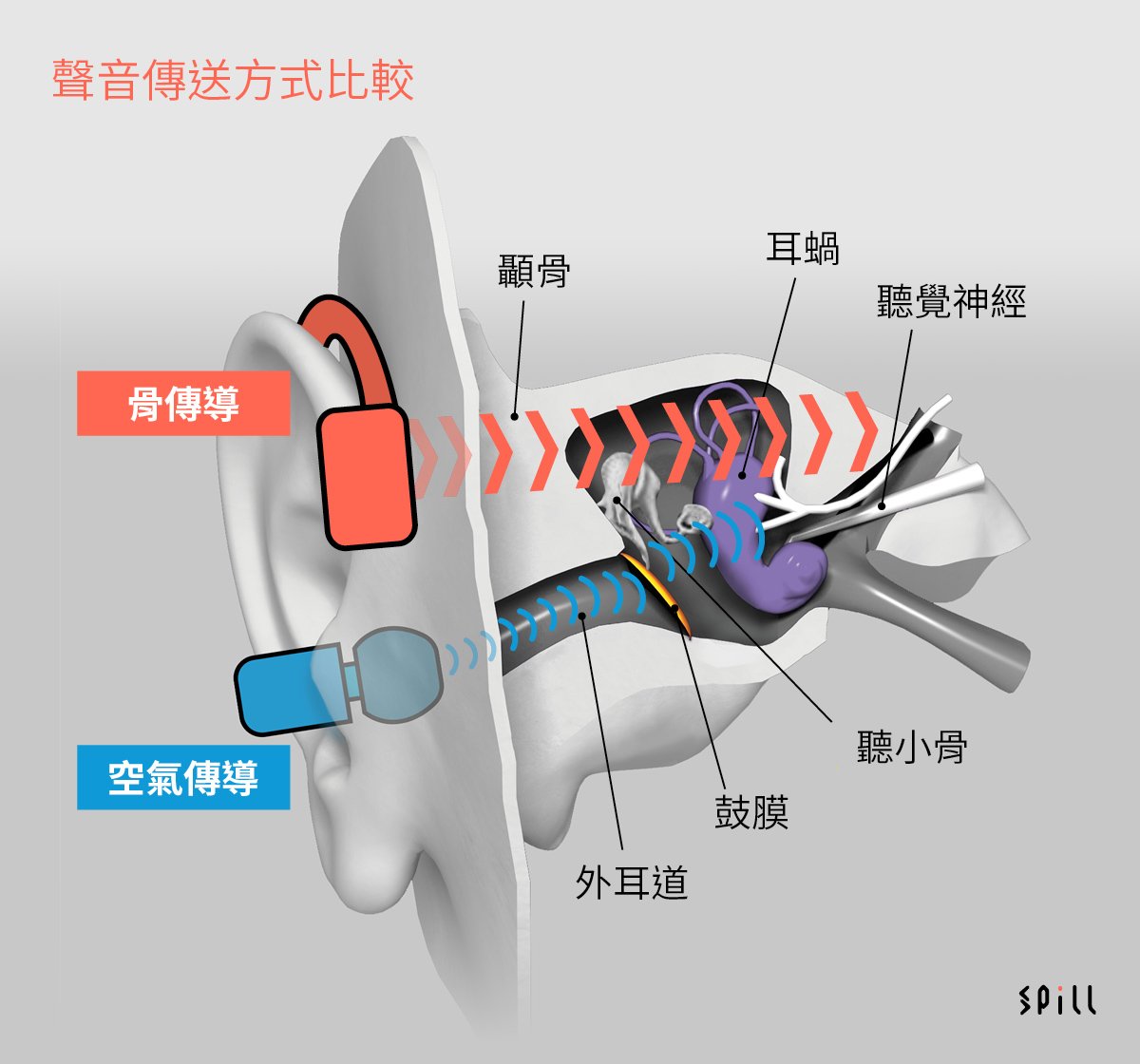 骨傳導耳機雖然不是新鮮事，但很多人也說不出個所以然來，真正試過的人也不多。其實骨傳導是一種聲音傳導方式，究竟與傳統耳機有甚麼不同呢？而骨傳導耳機又有甚麼優點和缺點？