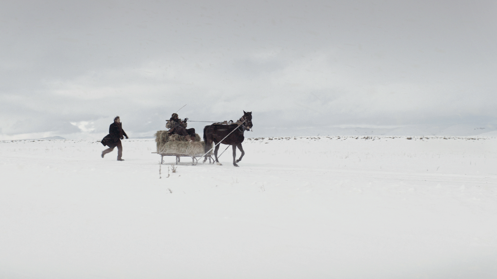 《荒草殘雪》：為沒有出路的社會，揭示出路